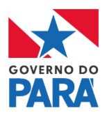 Governo do Estado do Pará